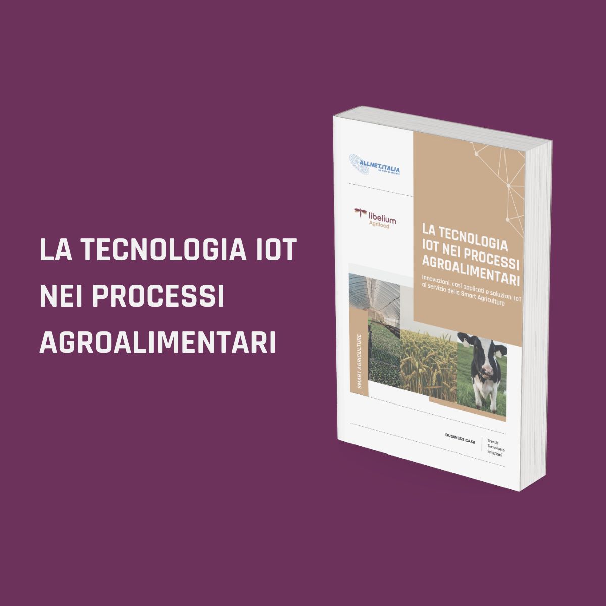 La tecnologia IoT nei processi agroalimentari